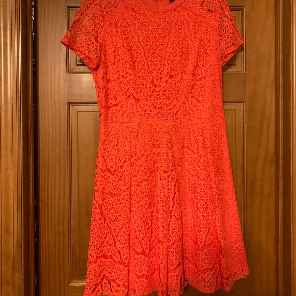 Coral lace cap sleeve dress